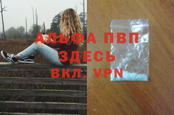 ПСИЛОЦИБИНОВЫЕ ГРИБЫ Приозерск