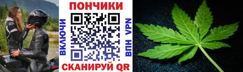 Конопля конопля  Агидель 